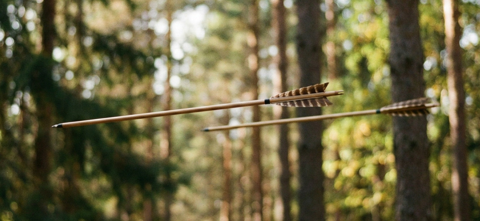 Dodging The 2nd Arrows