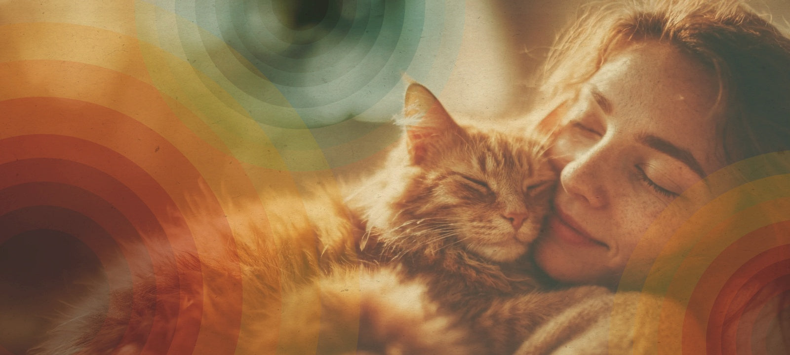 The healing wonder of Cats