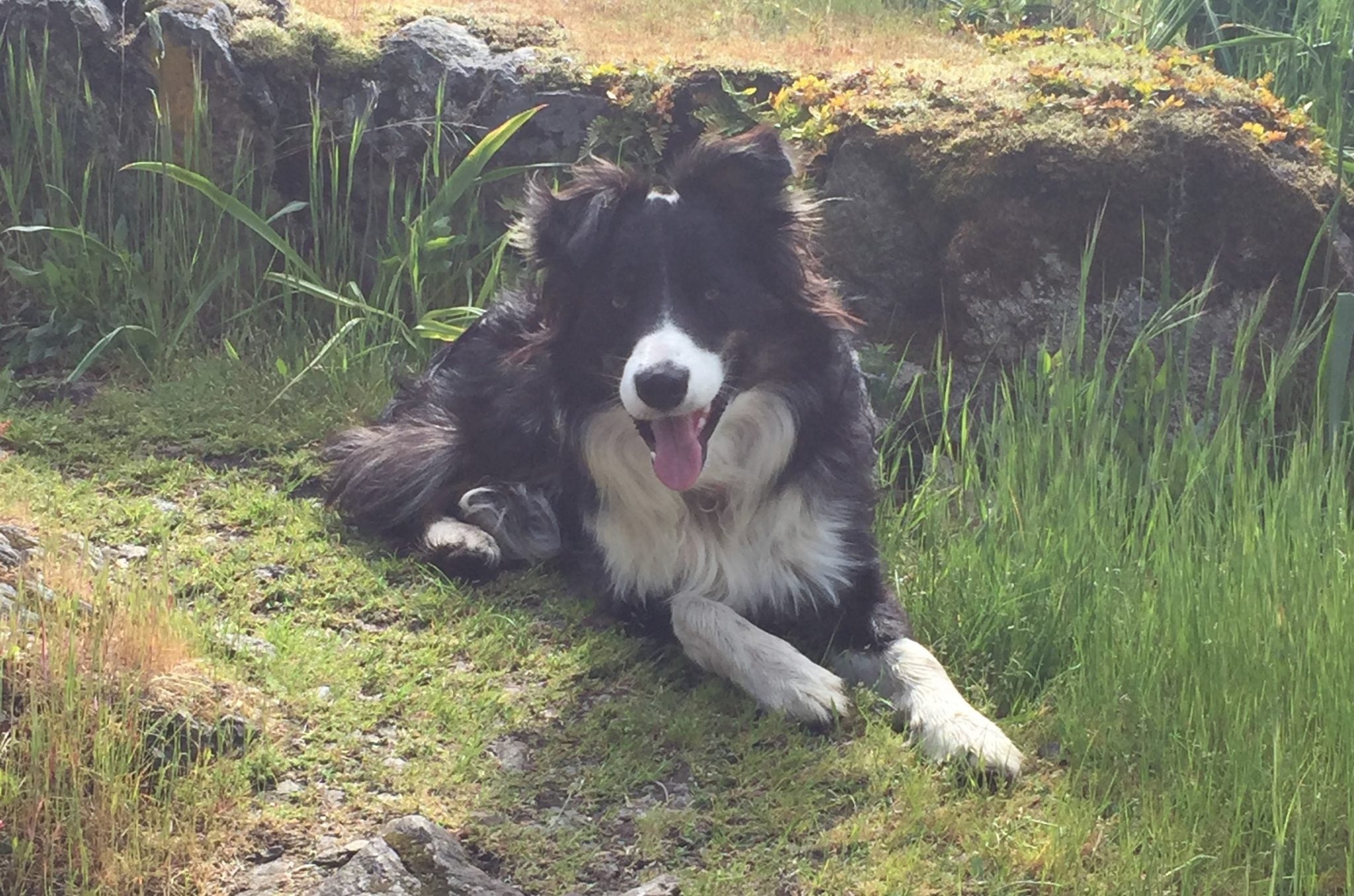 Bodhi's Success Story