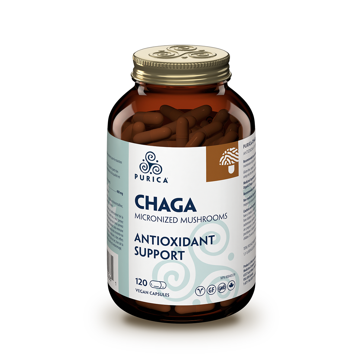 Chaga