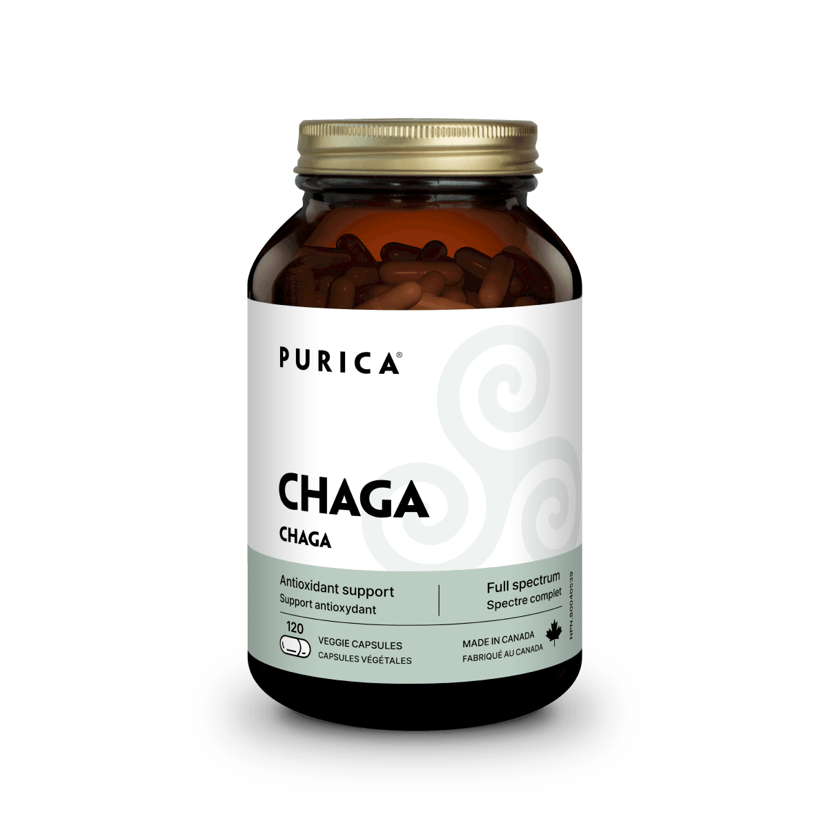 Chaga