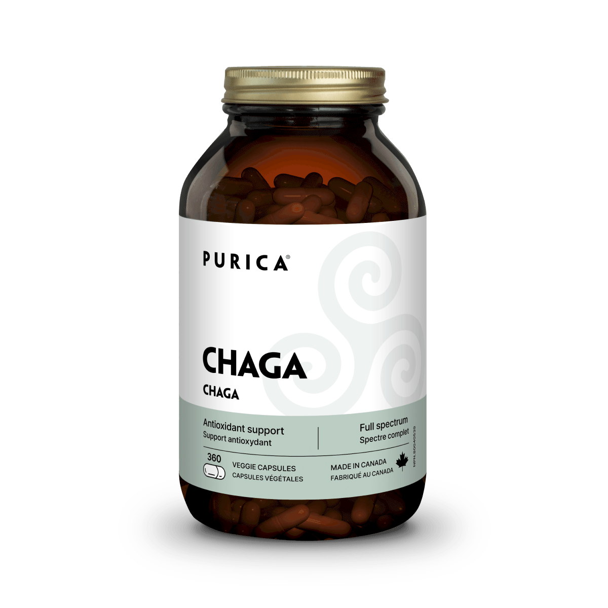 Chaga