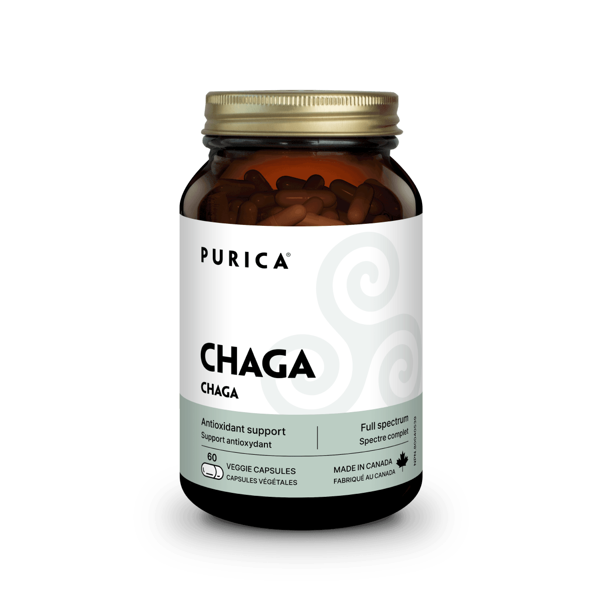 Chaga