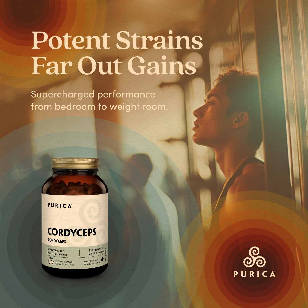 Cordyceps
