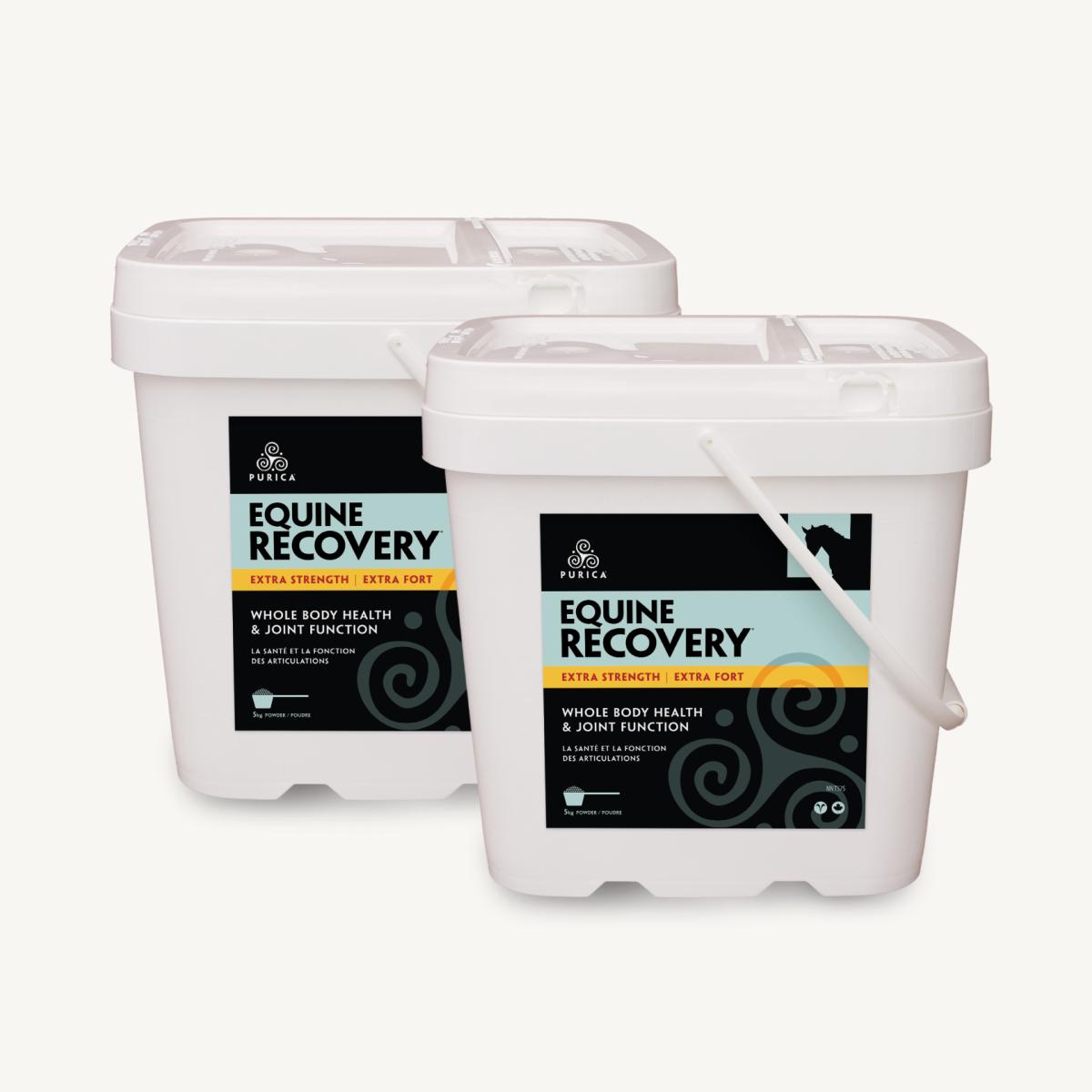 Equine Recovery Extra Strength