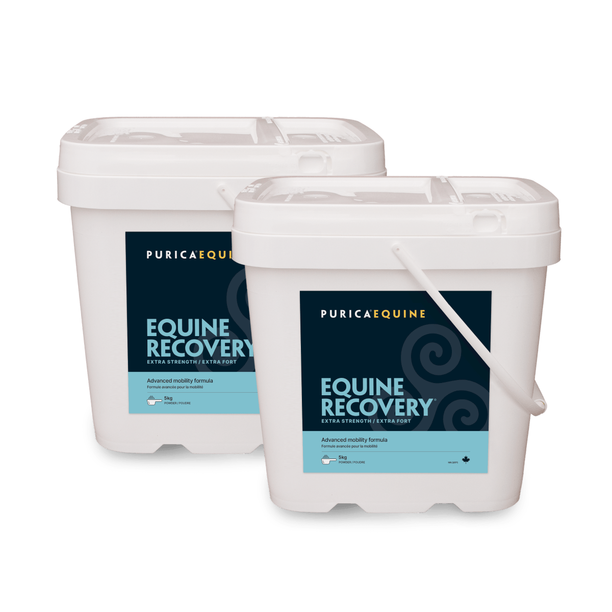 Equine Recovery Extra Strength