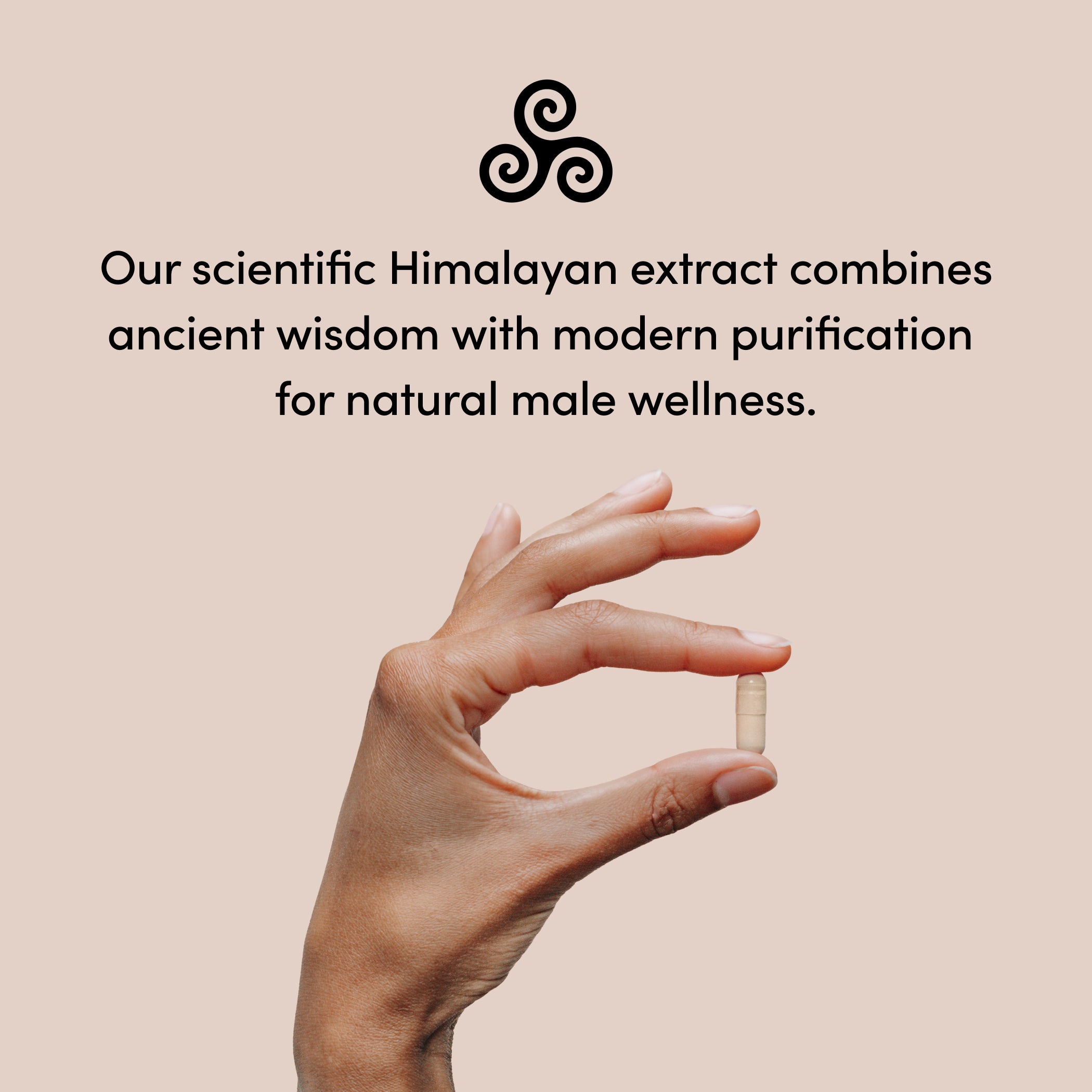 PrimaVie Shilajit