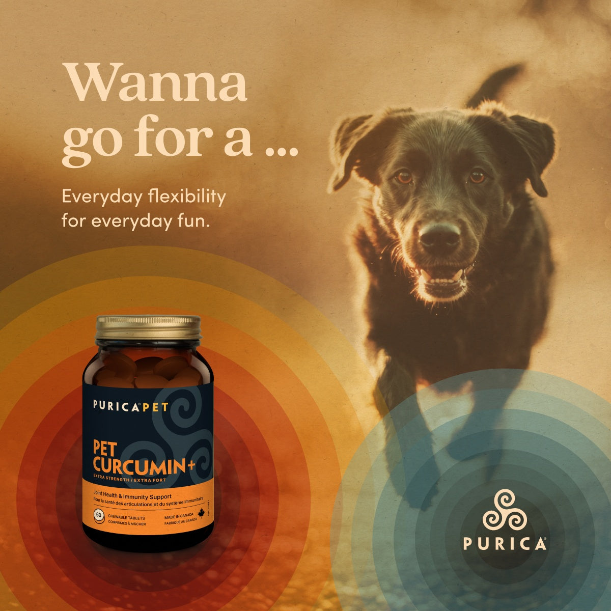 Pet Curcumin +