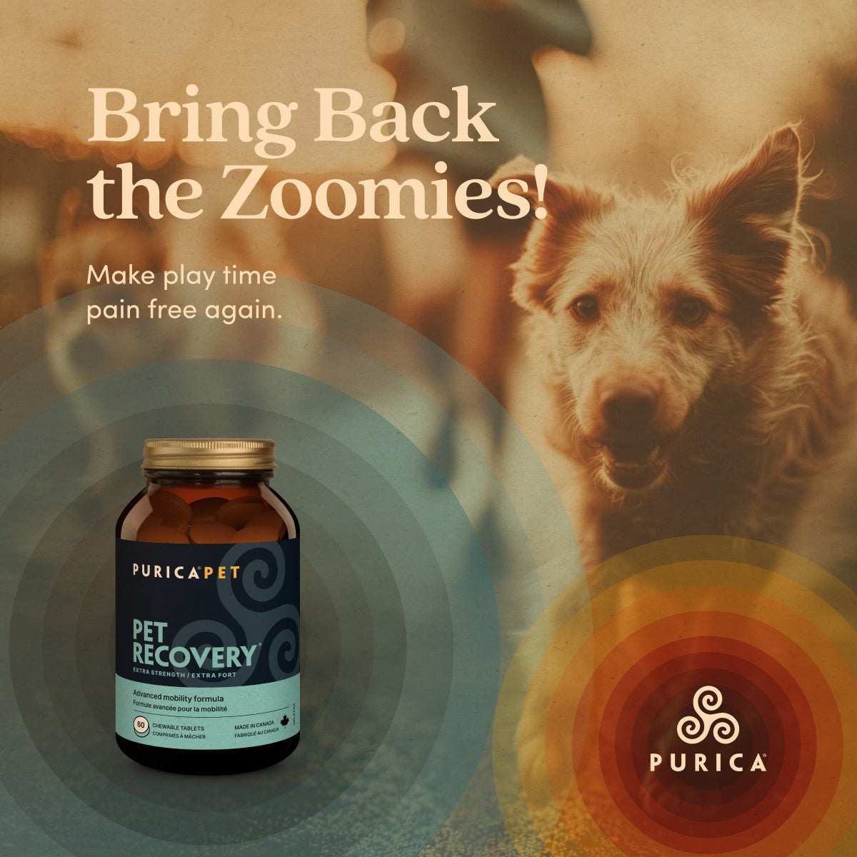Pet Recovery Extra Strength