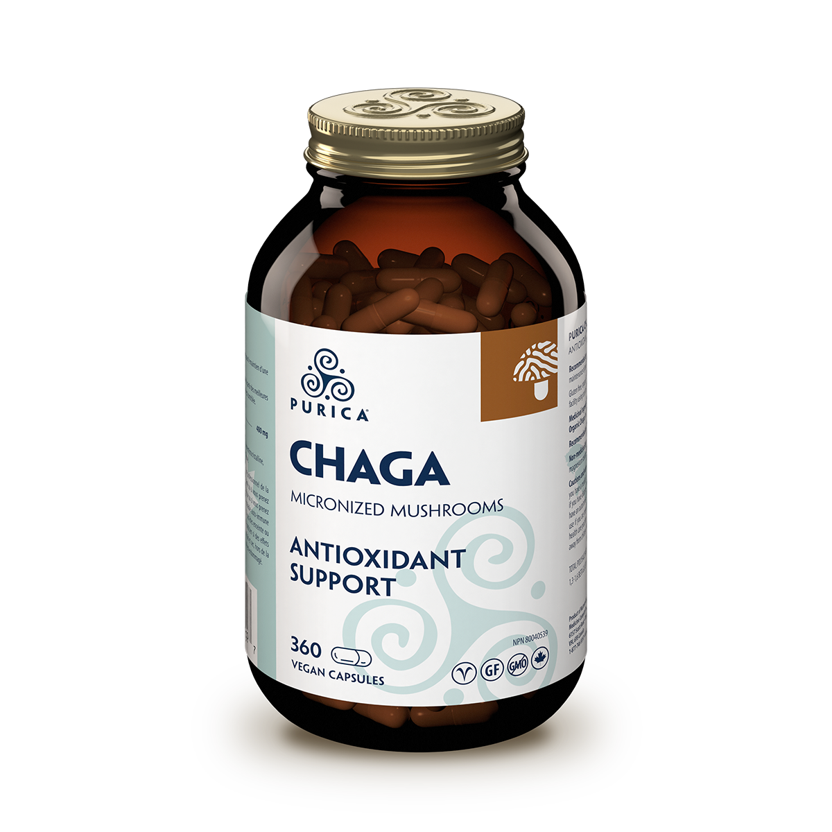 Chaga