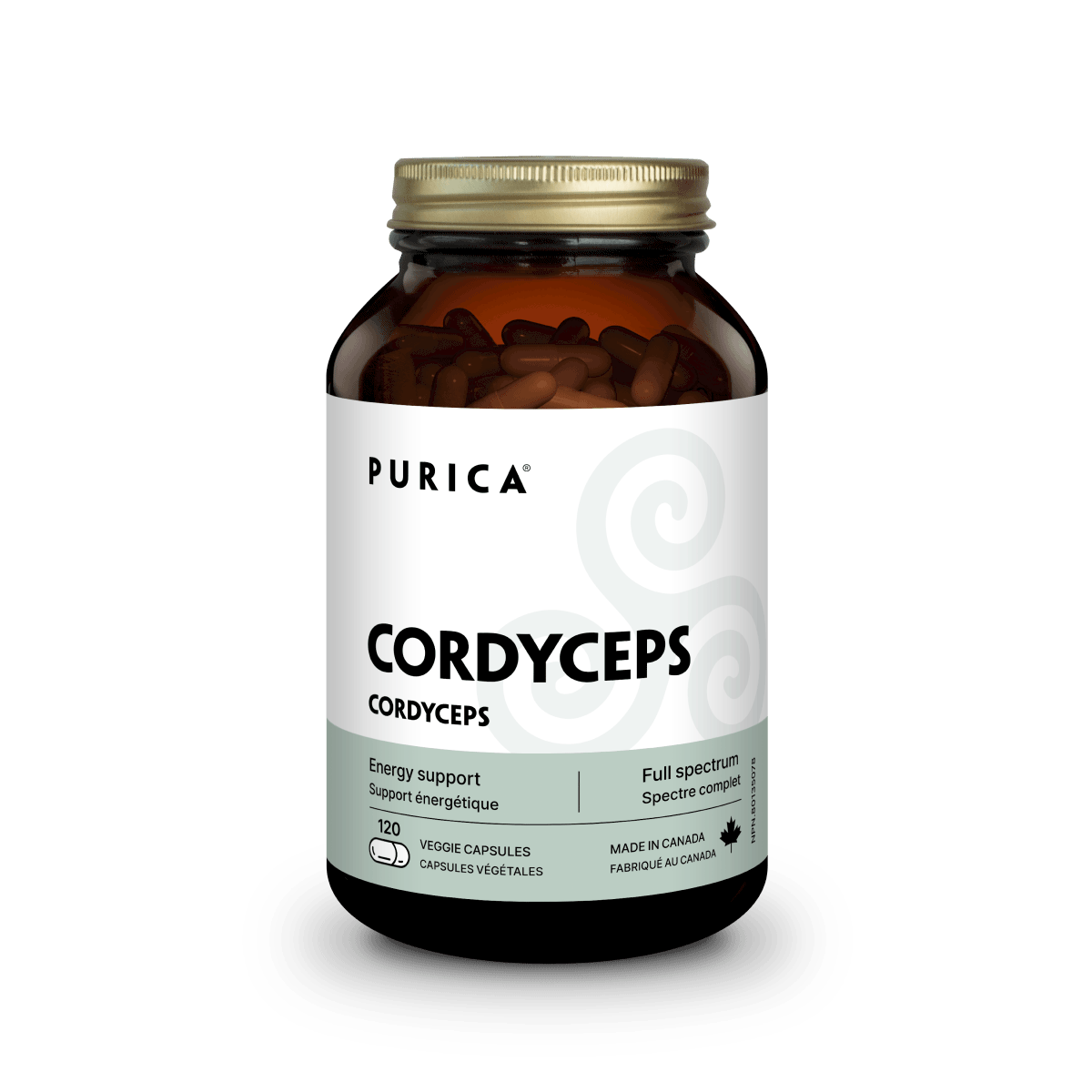 Cordyceps