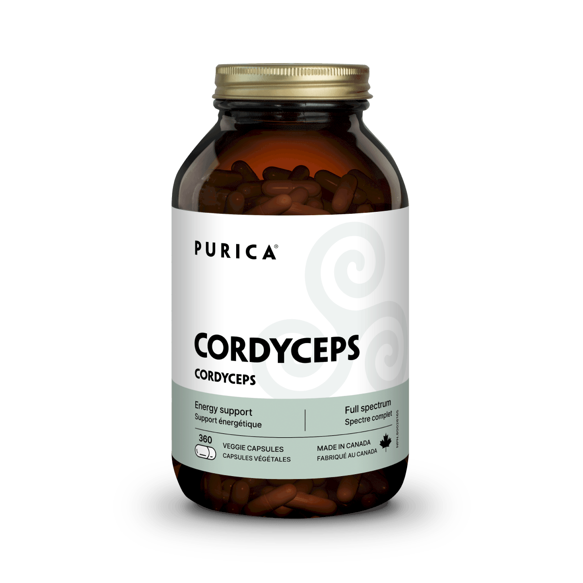 Cordyceps