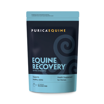 Equine Recovery