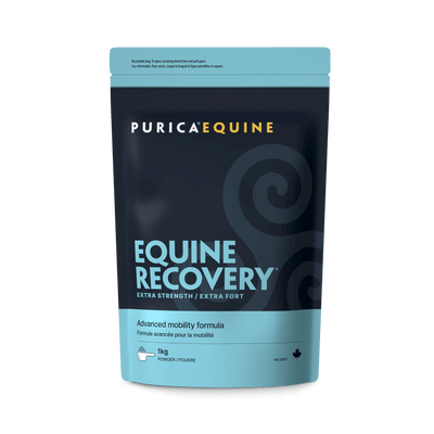 Equine Recovery