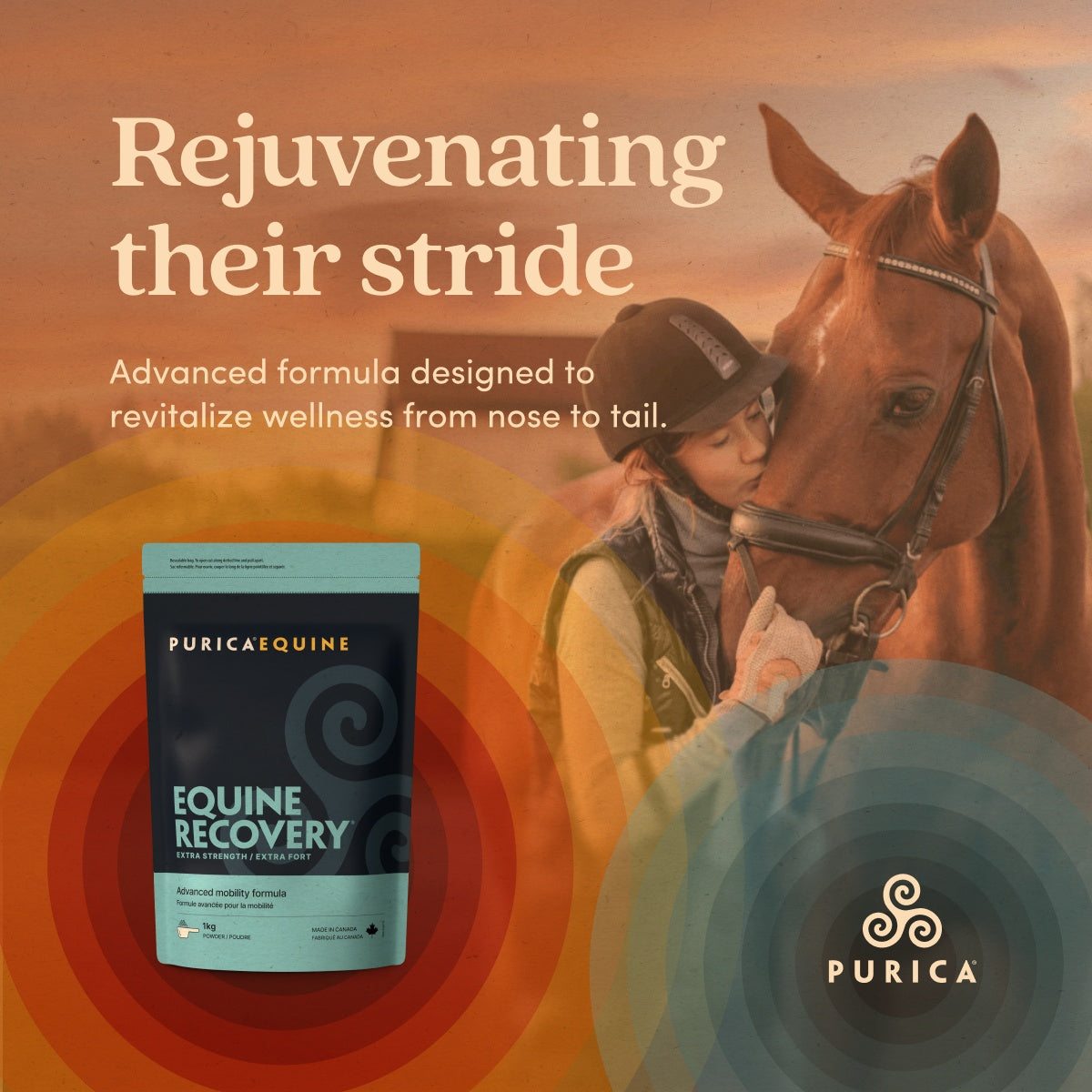 Equine Recovery Extra Strength