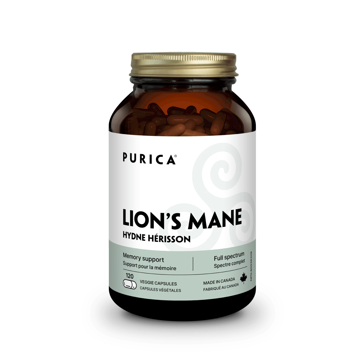 Lion's Mane