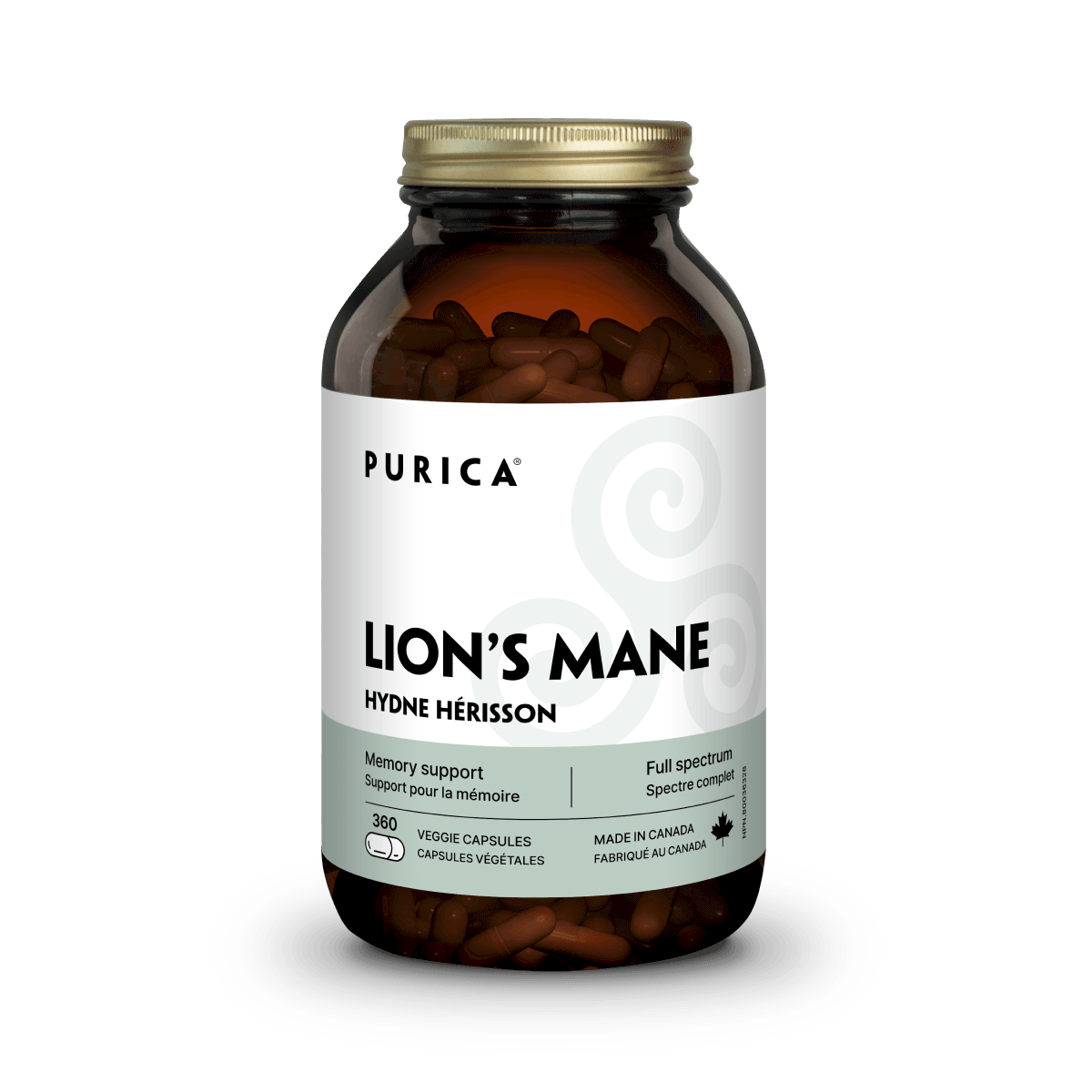 Lion's Mane