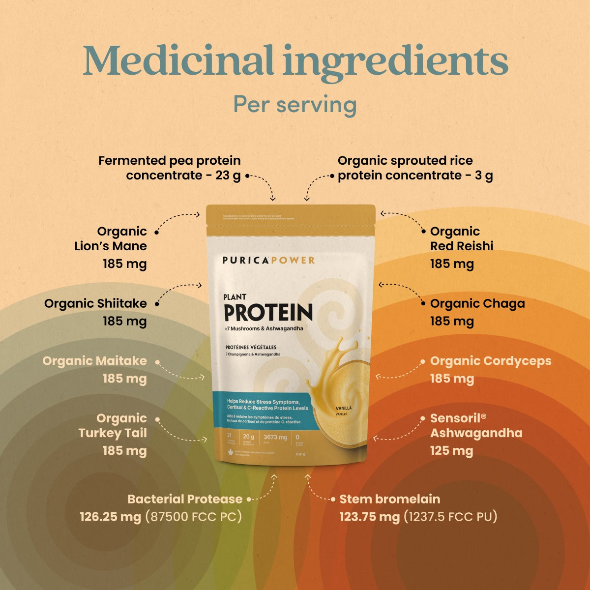 Power Protein