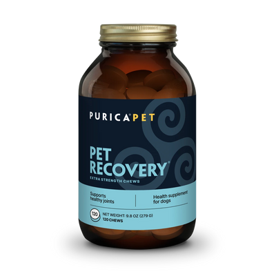 Pet Recovery