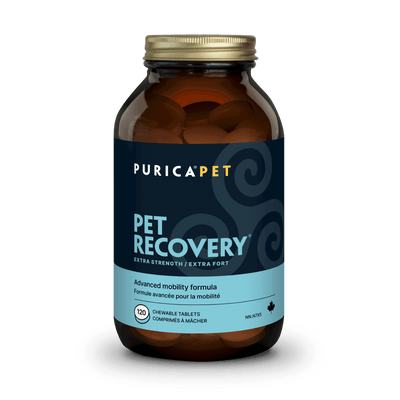 Recovery