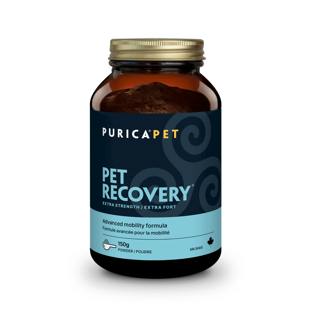 Pet Recovery Extra Strength