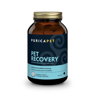 Pet Recovery